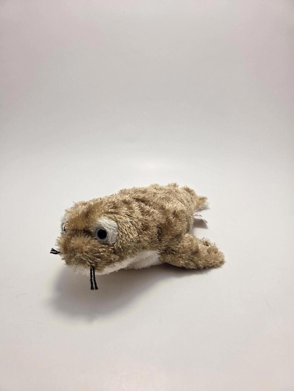 Ty Beanie Baby โFinsโ the Seal - No Hang Tag! (6 inch)